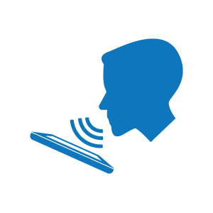 VOICE VOICE